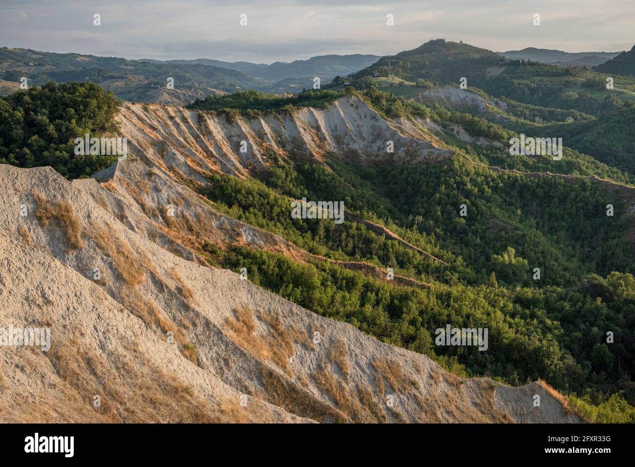 Anfiteatro Badlands con colline lussureggianti, Emilia Romagna, Italia, Europa Foto Stock