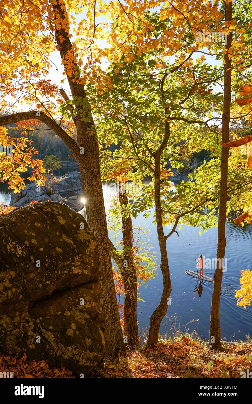 Ian Brown stand up paddle boards la sezione Widewater del canale C e o (Chesapeake e Ohio Canal) vicino a Potomac, Maryland, USA, Nord America Foto Stock