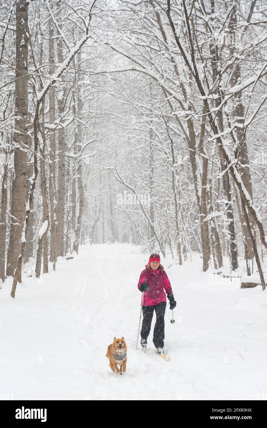 Jennifer Jordan e il cane Jack sci di fondo la Berma Road vicino Potomac, Maryland, Stati Uniti d'America, Nord America Foto Stock