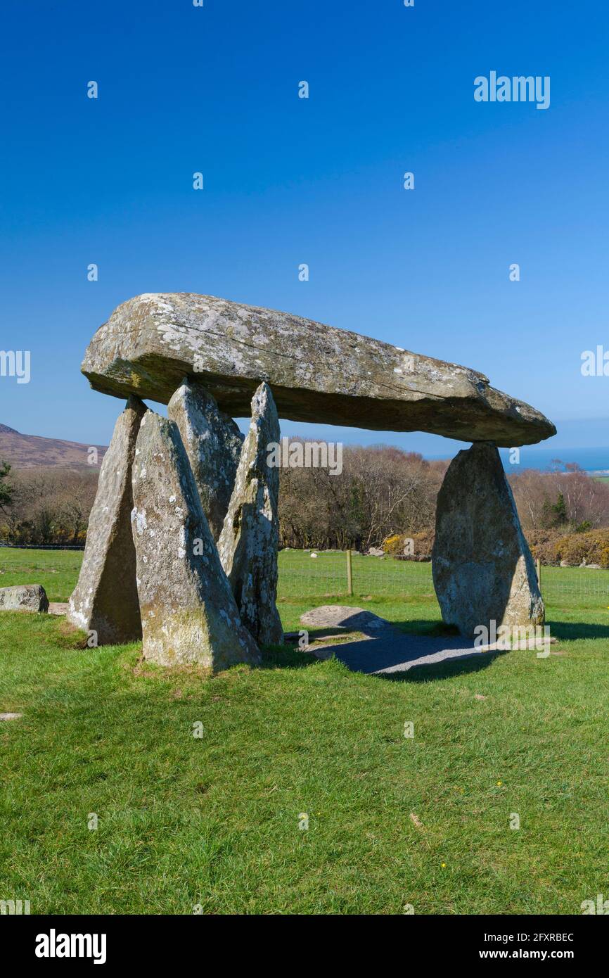 Pentre Ifan Burial Chamber, Preseli Hills, Pembrokeshire, Galles, Regno Unito, Europa Foto Stock