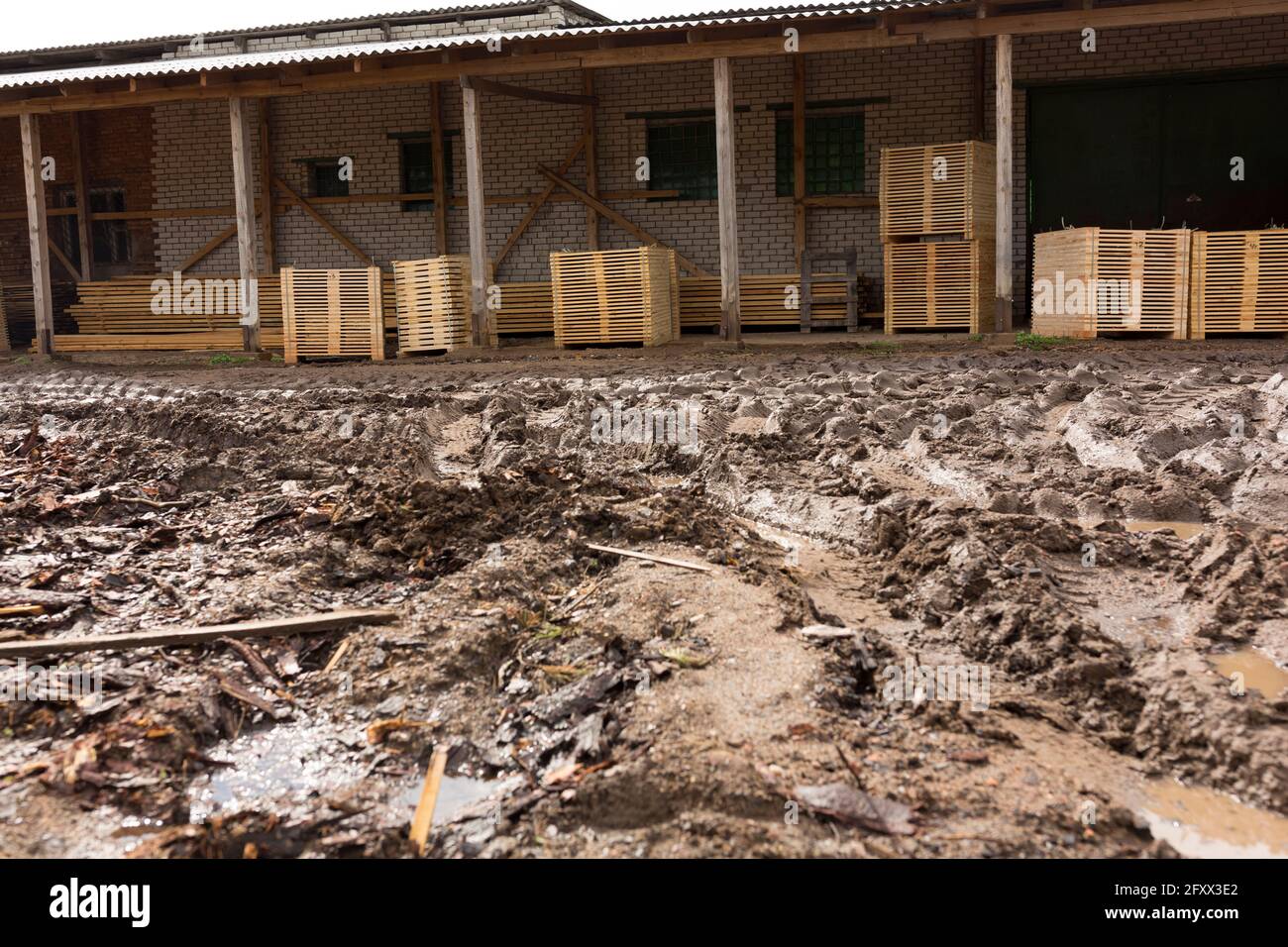 Particolare di tavole di legno. Pallets di legno. Legno. Legname. Una pila di nuove tavole di legno nel magazzino di legname industry.Warehouse in un villaggio in una fattoria. Foto Stock