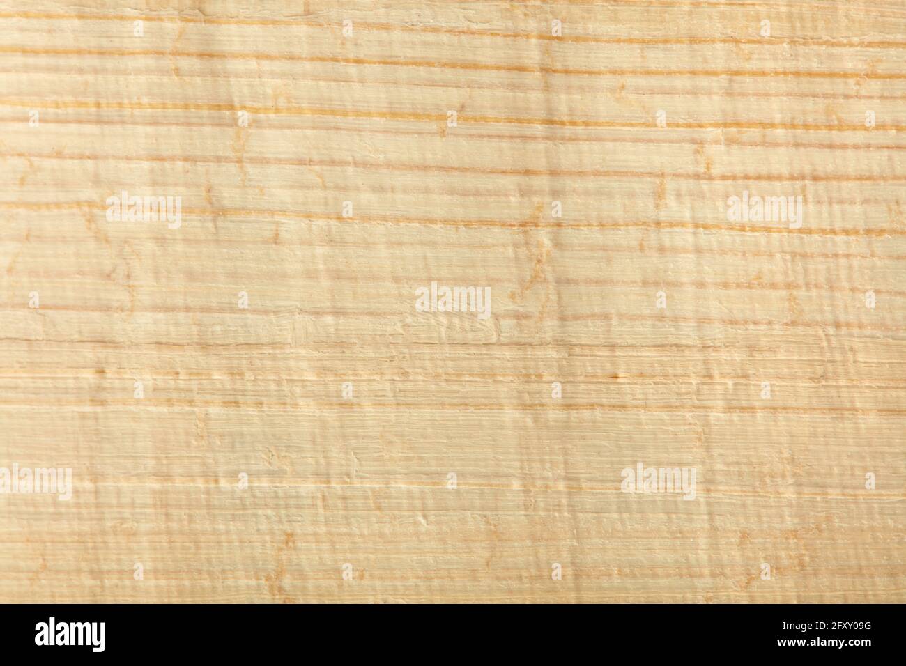 Carta papiro sfondo texture Foto Stock