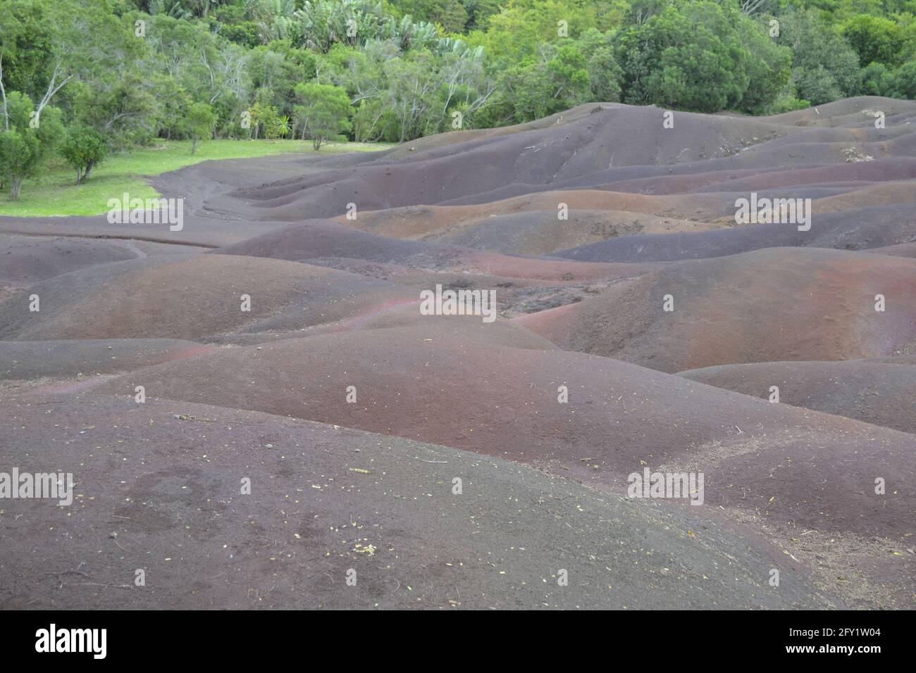 Terra di sette colori sul pianoro centrale tra verdi lussureggianti A Chamarel dall'isola di Mauritius Oceano Indiano Foto Stock