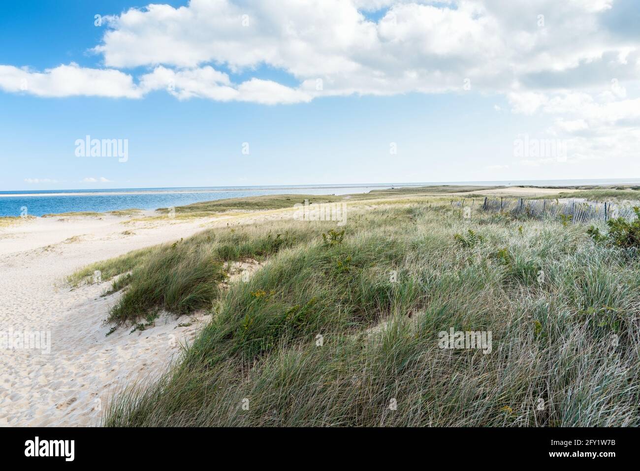 Dune di sabbia erbosa lungo una costa incontaminata e l'oceano blu in una soleggiata giornata autunnale Foto Stock