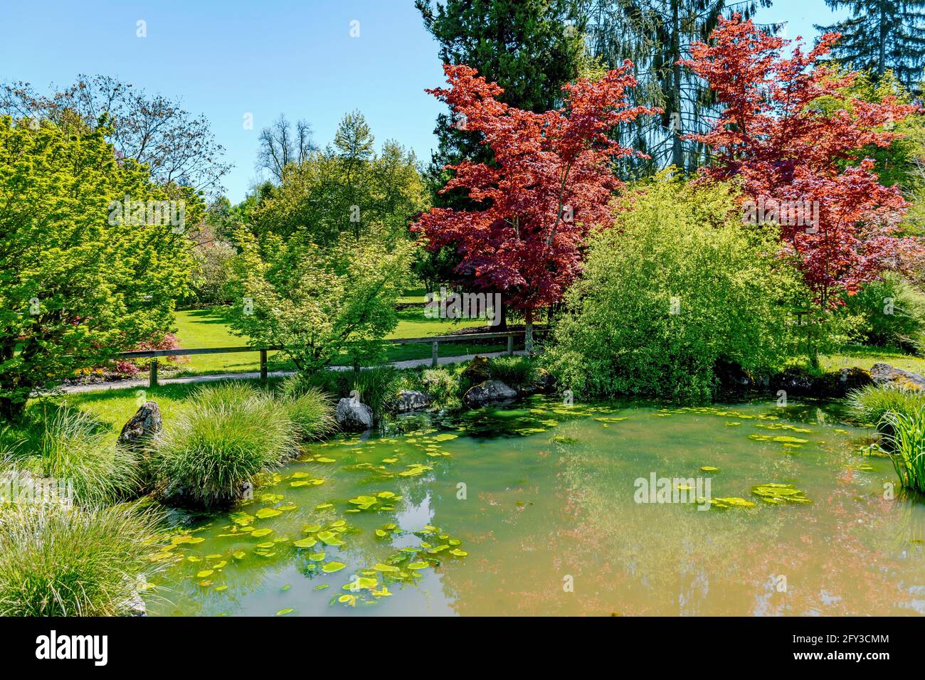 Bellissimo parco in una giornata di sole in primavera all'Arboretum Volcji potok vicino a Radomlje, Sloevenia. Foto Stock