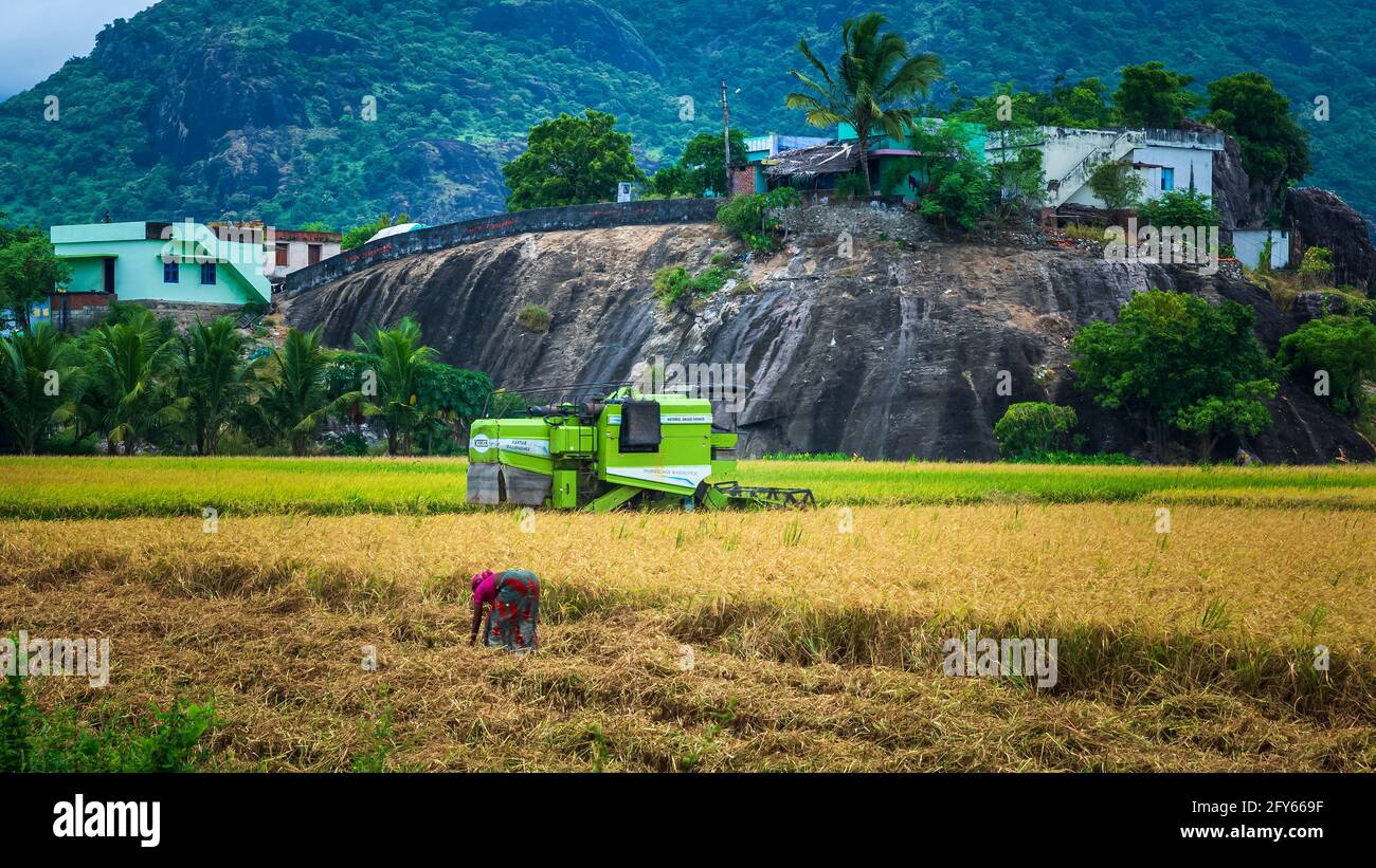 Trattore moderno con ex impianto di raccolta riso con sfondo naturale di montagna. NAGERCOIL, distretto di Kanyakumari. India del Sud. Foto Stock