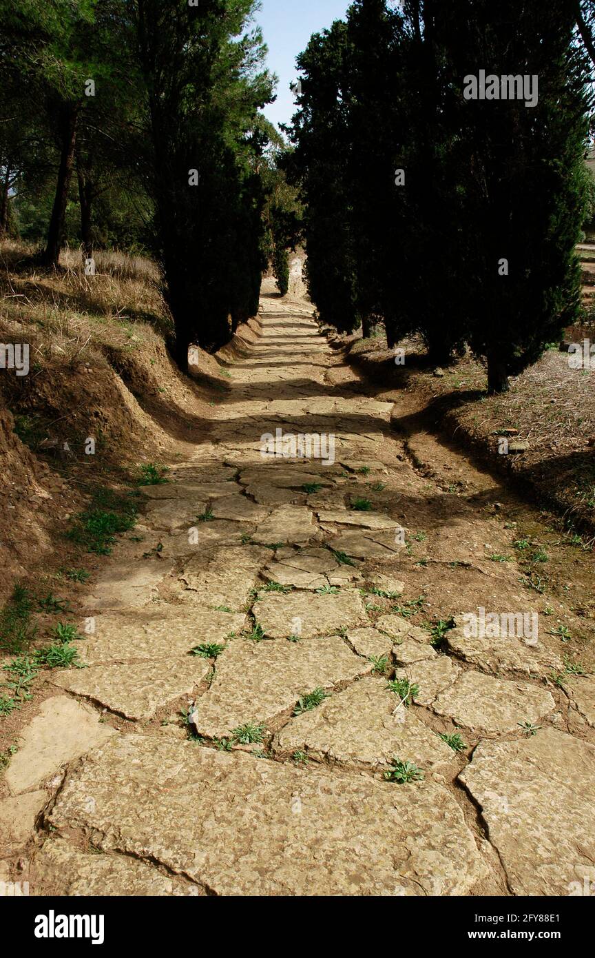 Portogallo. Rovine romane di Miróbriga. Antico insediamento lusitaniano le cui rovine odierne sono datate al periodo romano, tra il i e il IV secolo. Strada romana. Dintorni di Santiago do Cacém. Regione di Alentejo. Foto Stock