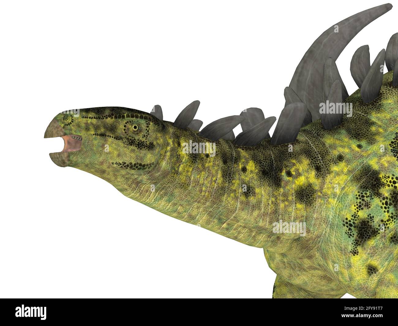 Gigantspinosaurus era un dinosauro erbivoro corazzato che visse in Cina durante il periodo giurassico. Foto Stock