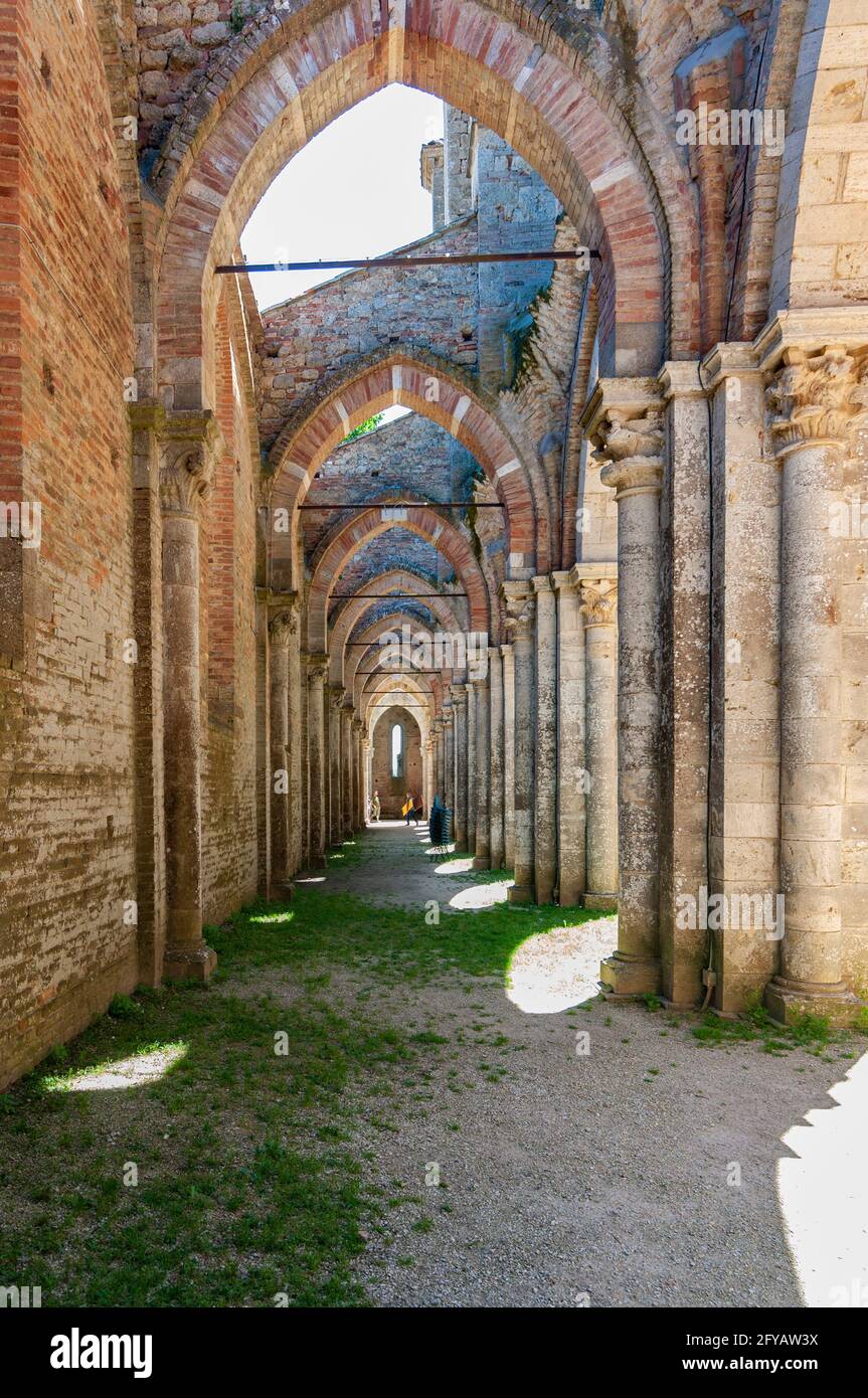 Le rovine dell'Abbazia di San Galgano in Toscana Foto Stock