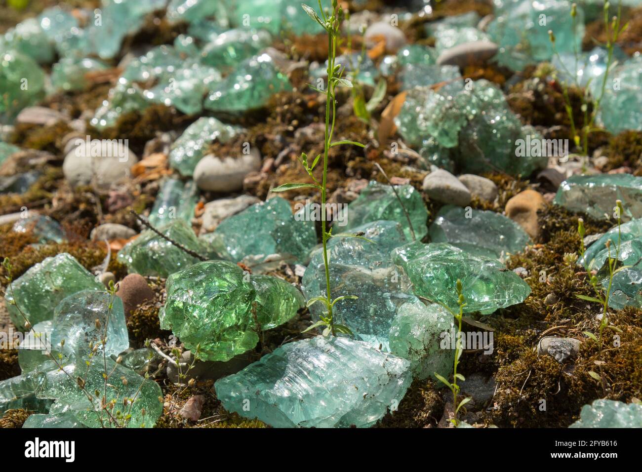 vetro crudo verde a terra Foto Stock