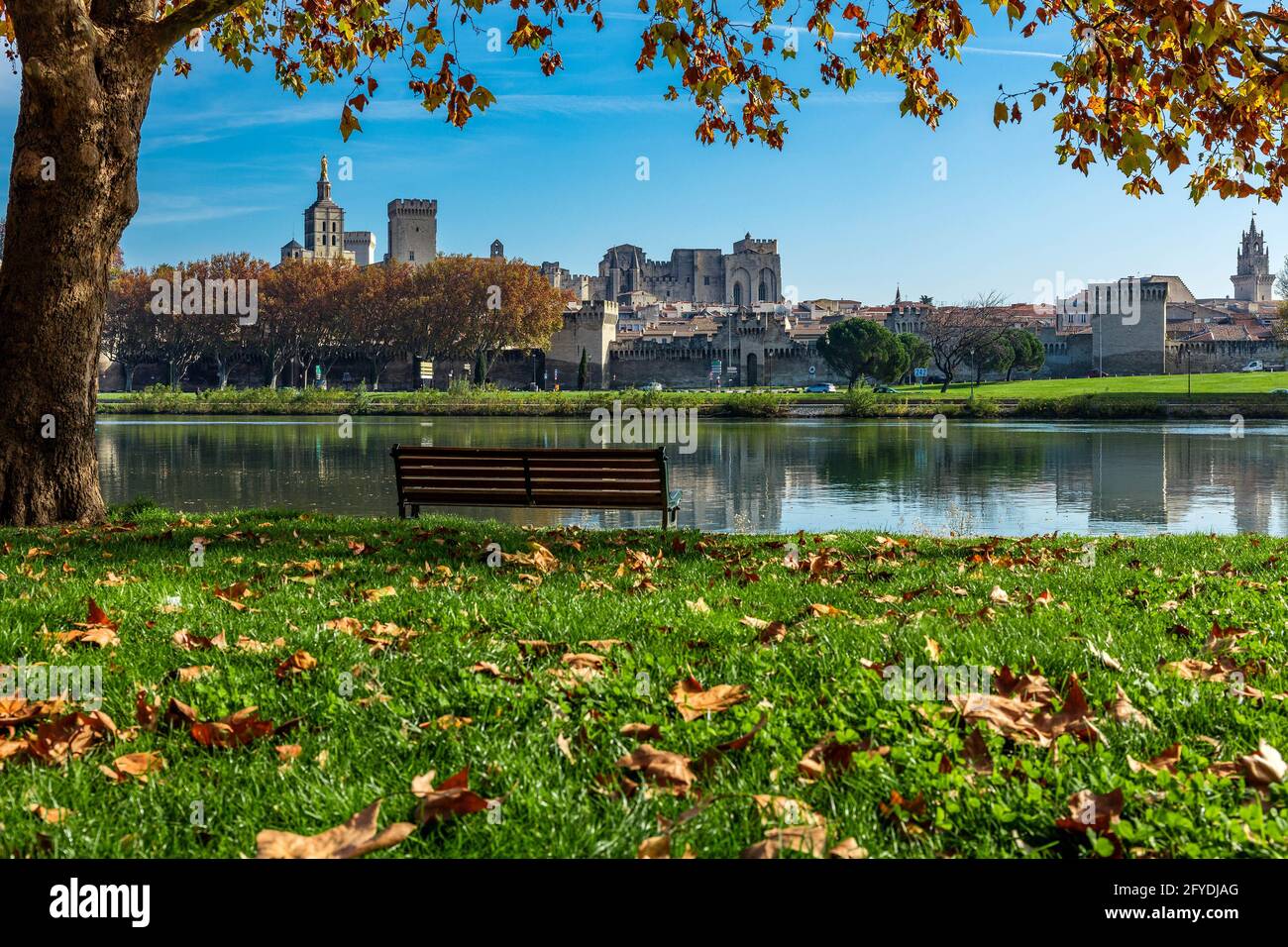 FRANCIA, VAUCLUSE (84) AVIGNONE, PONTE DI SAINT-BENEZET Foto Stock