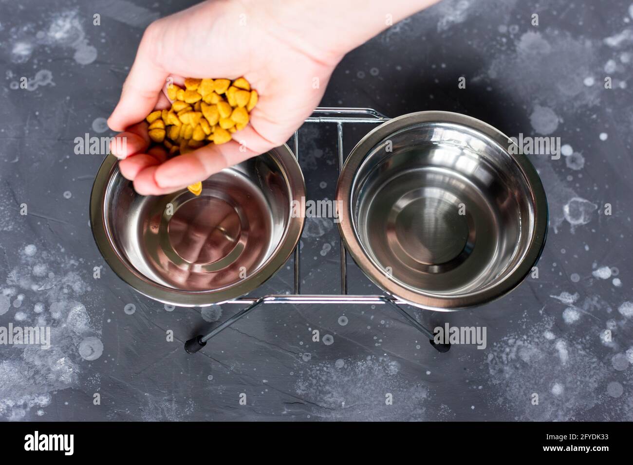 Versate il cibo asciutto in una ciotola di acciaio per il bestiame. Alimentazione del vostro animale domestico. Foto Stock