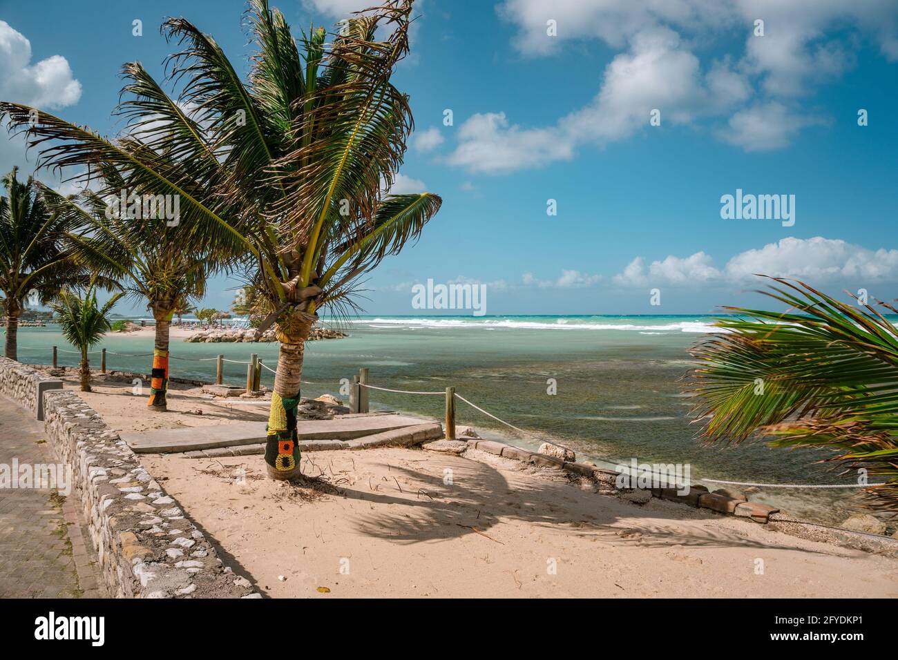 Palme in Giamaica decorate con i tradizionali colori rastafari - rosso, verde e oro. Bella fresca e forte Rasta, colori reggae cultura fuori Foto Stock