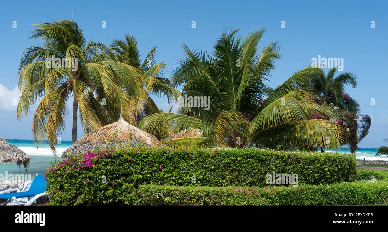Primo piano bella foto di spiaggia tropicale capanne sotto la palma alberi di fronte al mare tropicale turchese spiaggia con rottura onde Foto Stock