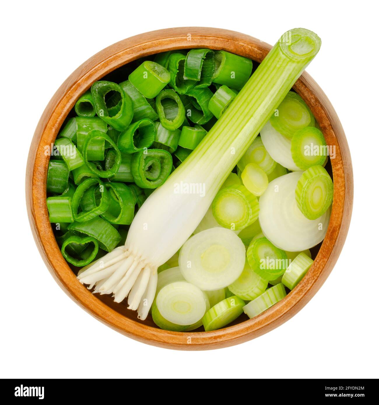 Bulbo di cuoio capelluto fresco e scalioni affettati, in una ciotola di legno. Cipolle verdi, dette anche cipolle o sibies primaverili. Verdure dal sapore dolce di cipolla. Foto Stock