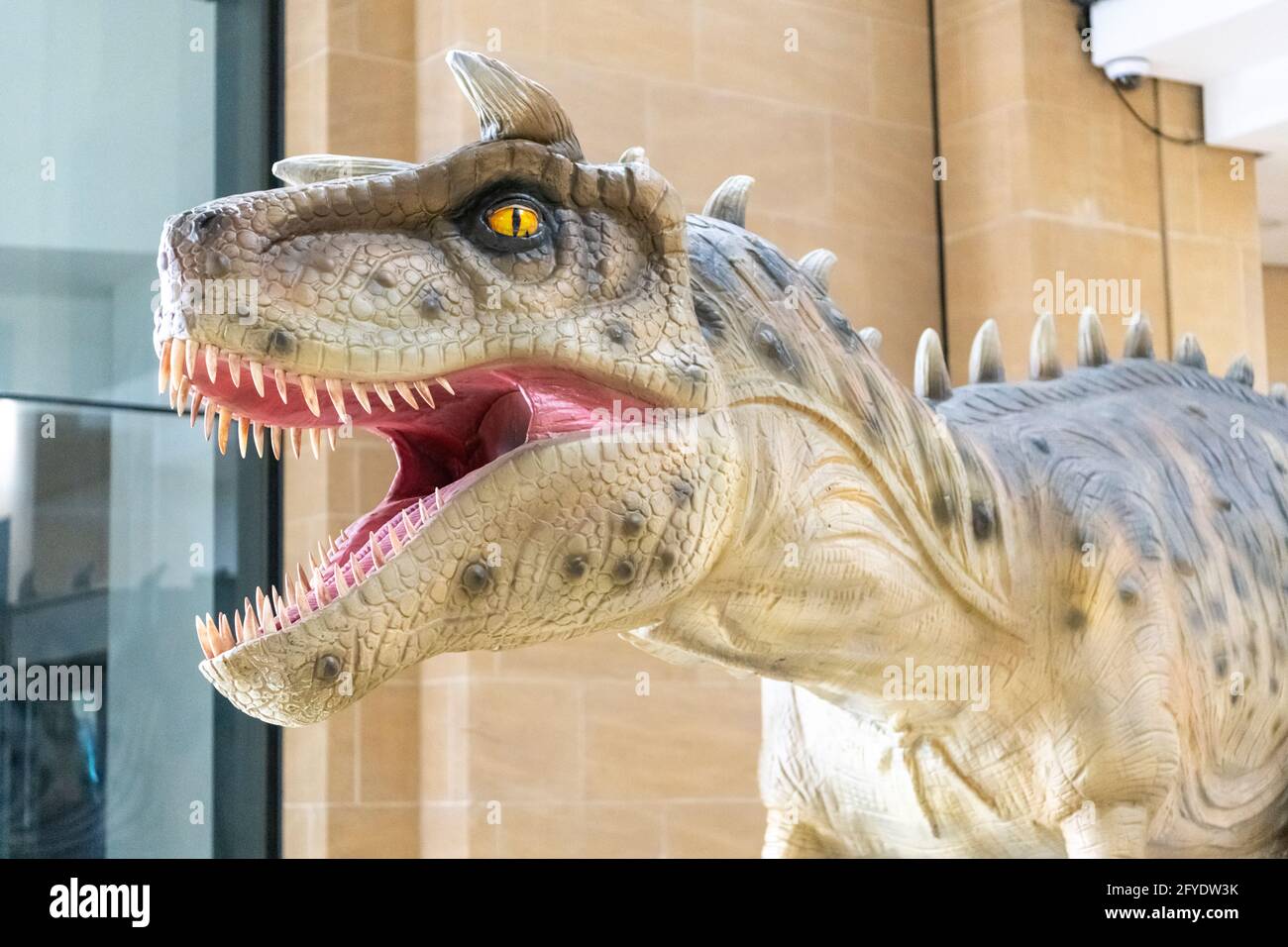 Cambridge, Regno Unito. 28 maggio 2021. Enormi dinosauri animatronici sono installati nel centro commerciale Grand Arcade nel cuore della notte nel centro di Cambridge. Fanno parte di un evento promozionale, la Jurassic Arcade, per incoraggiare gli acquirenti e le famiglie a visitare il centro commerciale, poiché sono state attenuate 19 restrizioni. Credit: Julian Eales/Alamy Live News Foto Stock