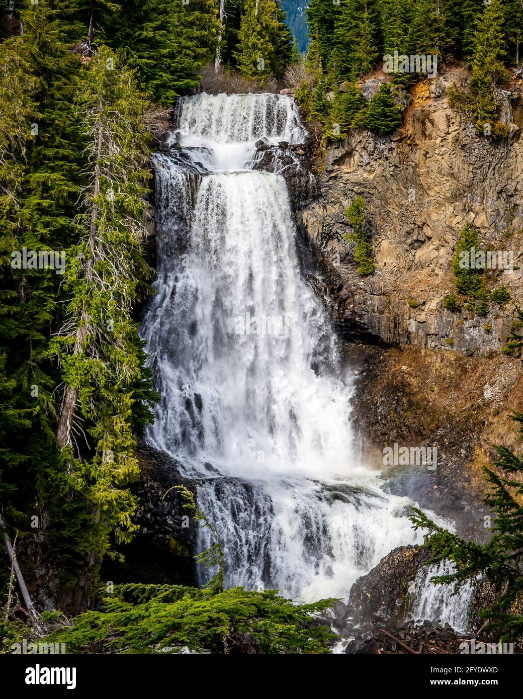 La fusione della neve primaverile rende belle Alexander Falls, una cascata su Madeley Creek, nella Callaghan Valley vicino a Whistler British Columbia, Canada Foto Stock