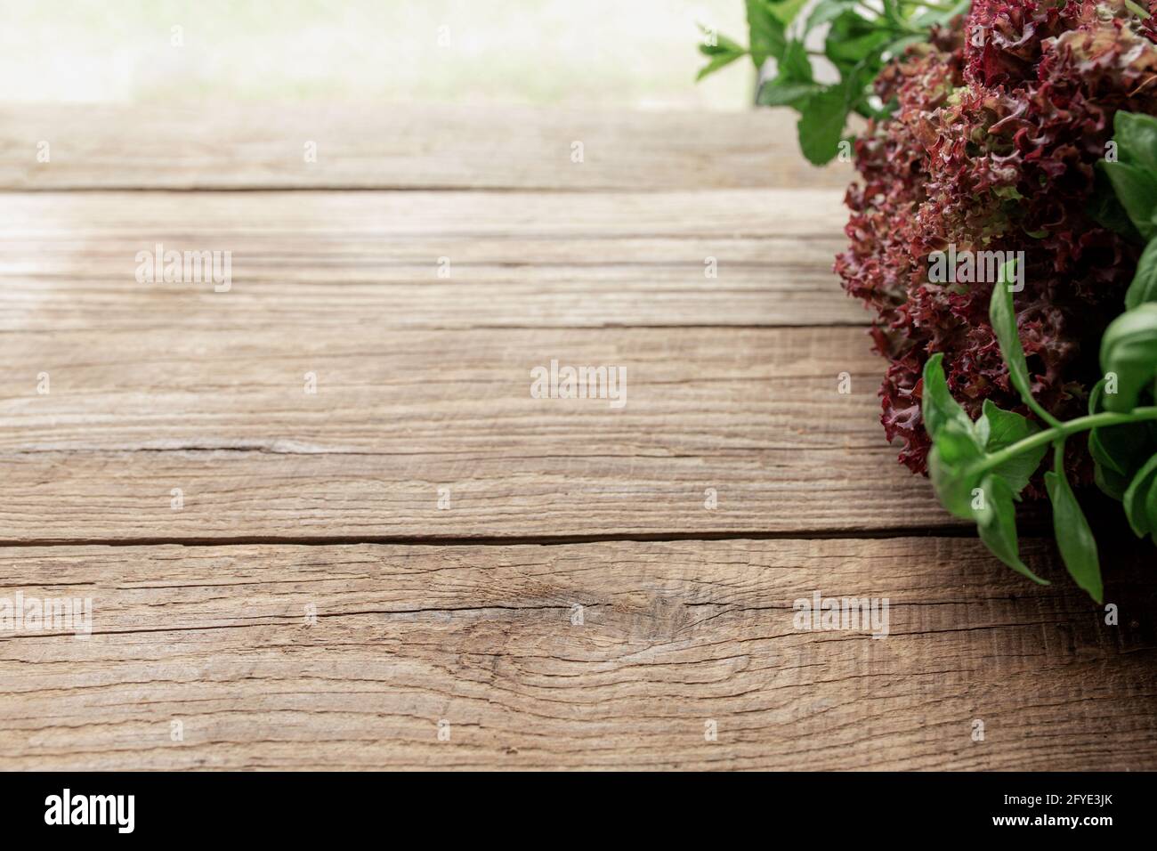 Concetto di giardinaggio e di alimentazione sana con erbe e insalata diverse foglie su sfondo di legno Foto Stock
