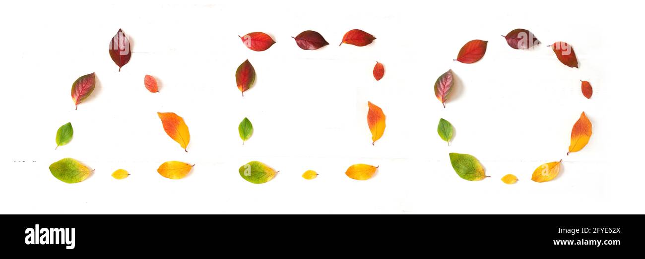 Geometria autunno, foglie in forme diverse, cerchio, quadrato e triangolo, banner. Foto di alta qualità Foto Stock