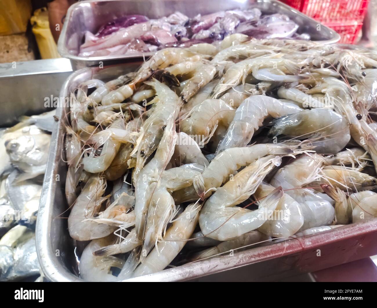Mercato del pesce - Pesci di mare freschi sul mercato del pesce. Foto Stock