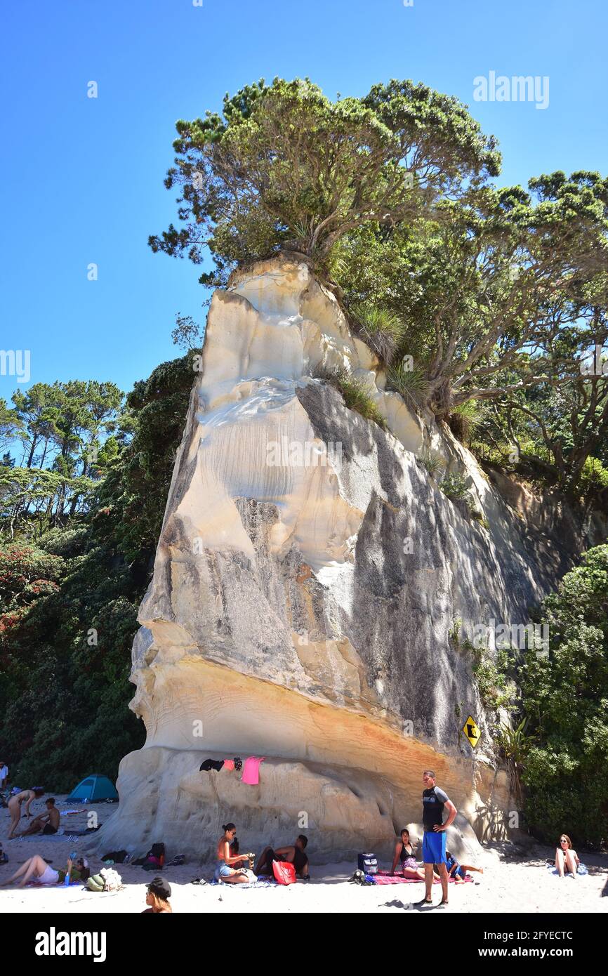 I vacanzieri prendono il sole sotto la roccia verticale alta coperta con alberi di pohutukawa sulla spiaggia sabbiosa. Foto Stock
