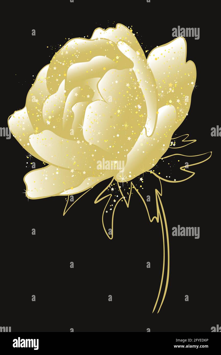 Oro fiore di pony, vettore. Lussureggiante fiore giardino fiorito su sfondo nero. Illustrazione Vettoriale