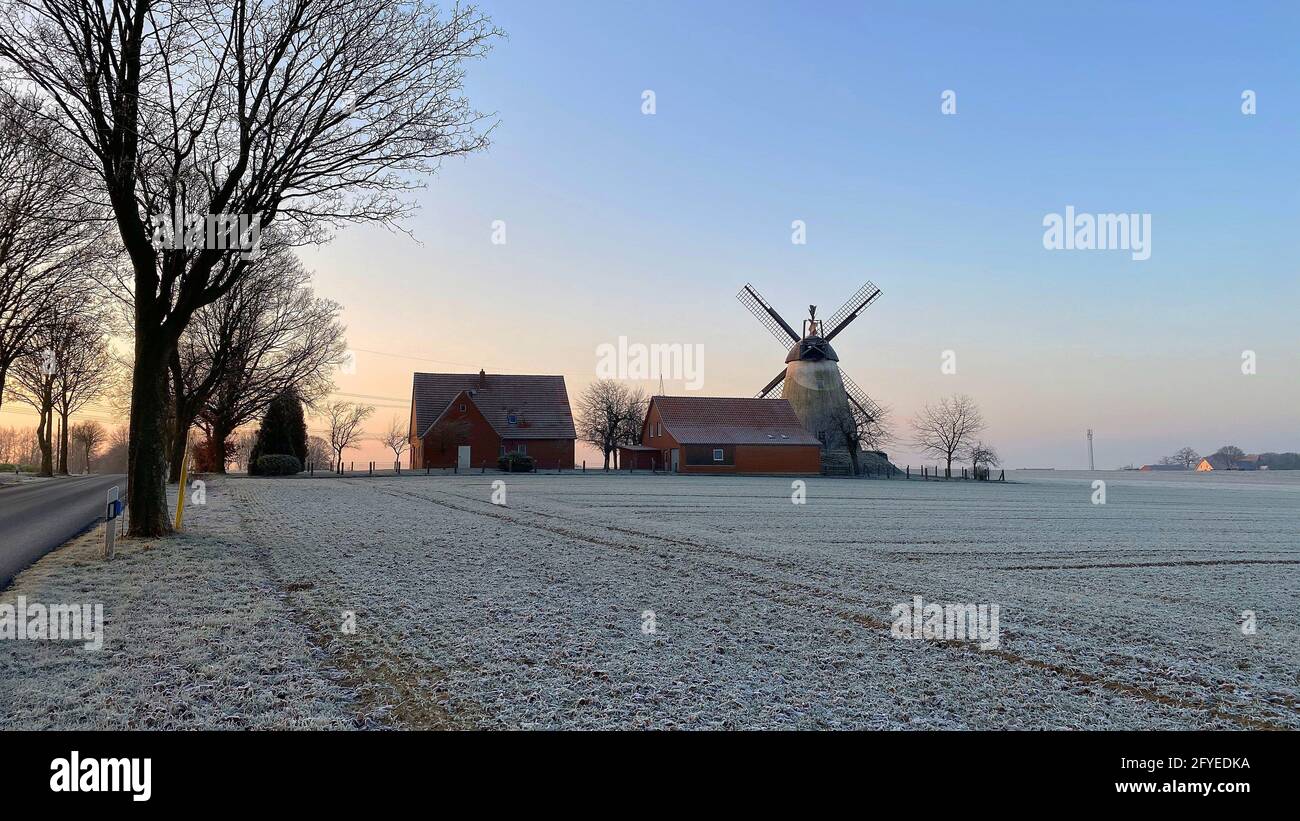 Huellhorst, Nordrhein-Westfalia, Germania - 2 gennaio 2020 - Mulino a vento 'Struckhof' in una mattina presto d'inverno. Il sole si alza. Brina su Foto Stock