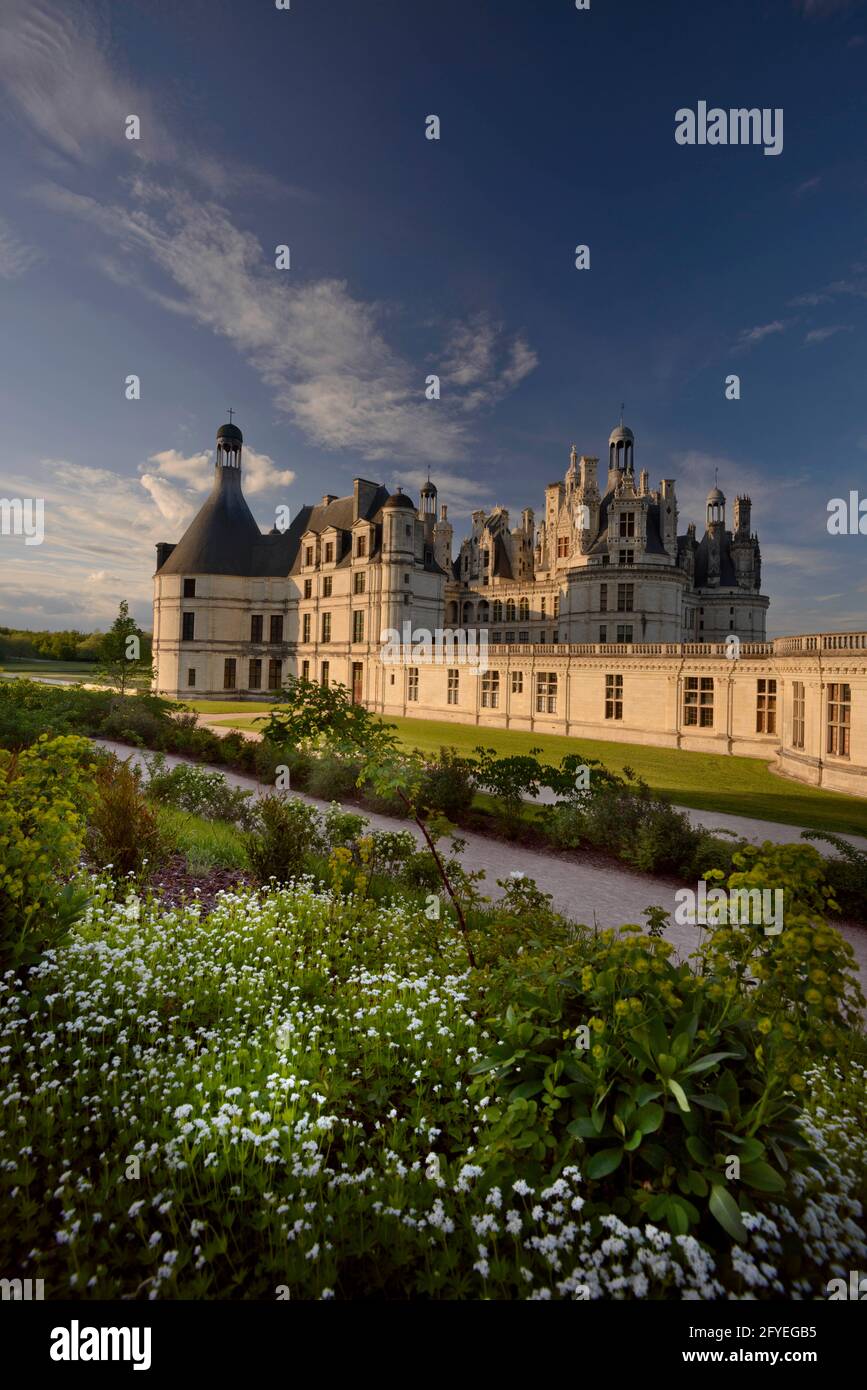 FRANCIA. LOIR-ET-CHER(41) CHAMBORD CASTELLO, EMBLEMA DEL RINASCIMENTO FRANCESE IN TUTTO IL MONDO, È UN SITO PATRIMONIO MONDIALE DELL'UNESCO.GIOIELLO DI ARCHITETTURA Foto Stock
