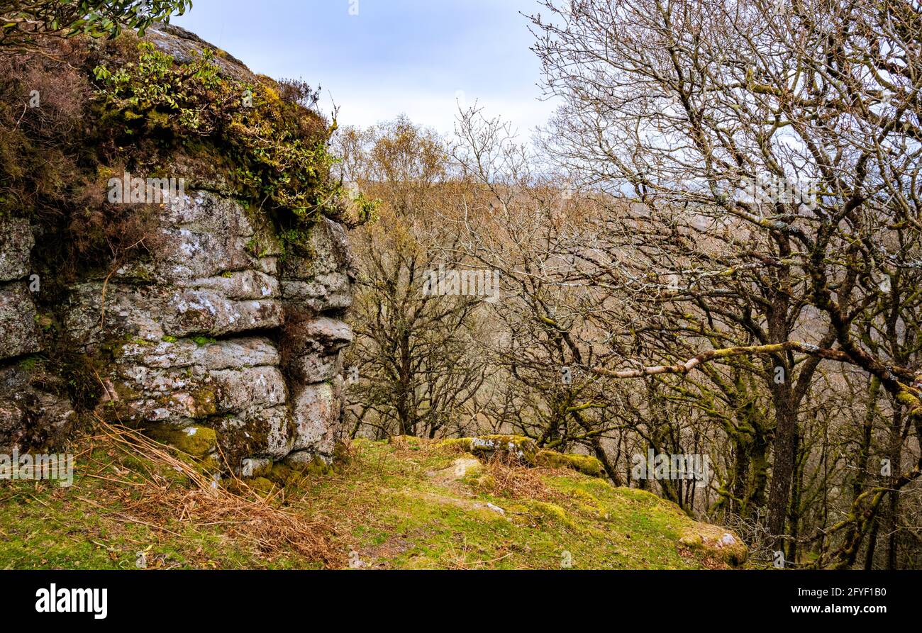 Affioramenti di granito di Bench Tor, Dartmoor National Park, Devon, Inghilterra, Regno Unito. Foto Stock