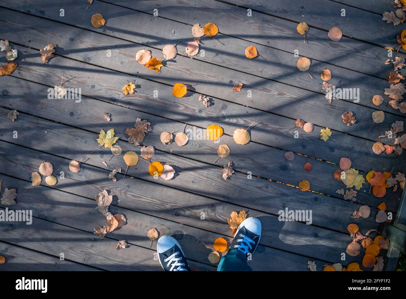 Una vista dall'alto delle vecchie tavole di legno coperte da foglie gialle cadenti dell'autunno e i piedi si infranono in sneakers. Foto Stock