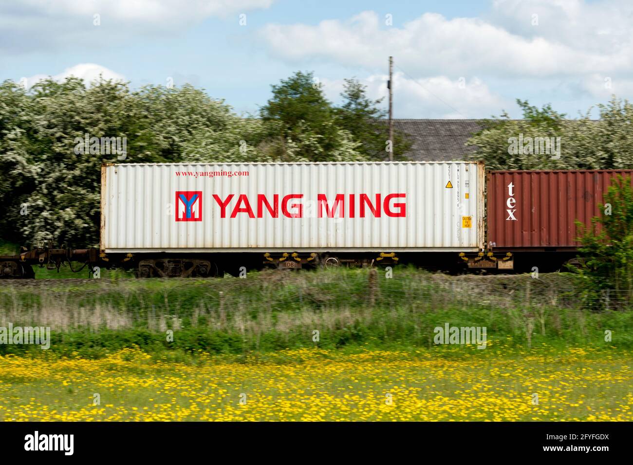 Un contenitore di spedizione Yang Ming su un treno freightliner, Northamptonshire, Regno Unito Foto Stock