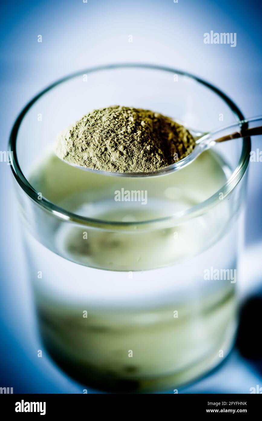 Preparazione di argilla verde soluzione per confort intestinale. Foto Stock