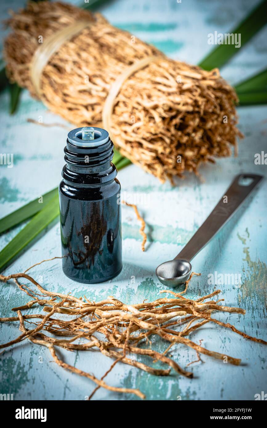 Olio essenziale di radice di vetiveria (Vitiveria zizanoides). Foto Stock