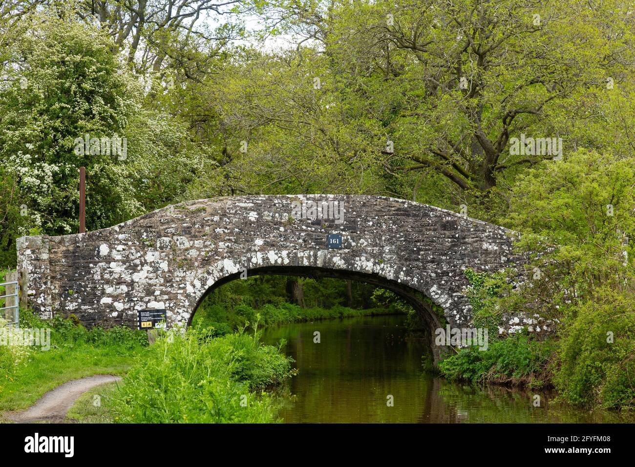 Ponte 161, vicino a Brecon sul Monmouthshire e Brecon Canal, Powys, Galles, Regno Unito Foto Stock