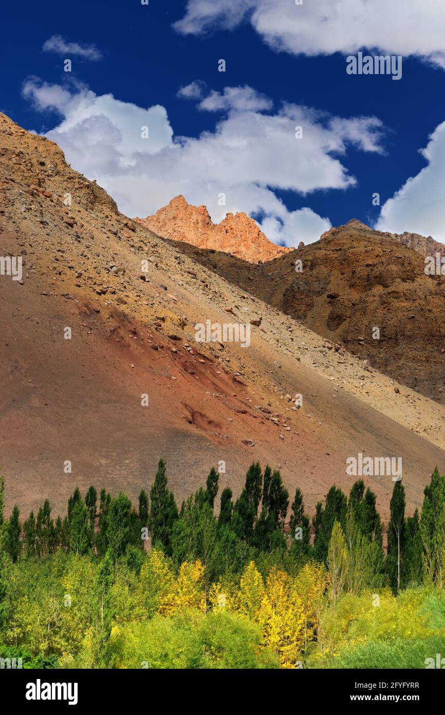 Paesaggio roccioso di Leh, Ladakh, Jammu e Kashmir, India Foto Stock