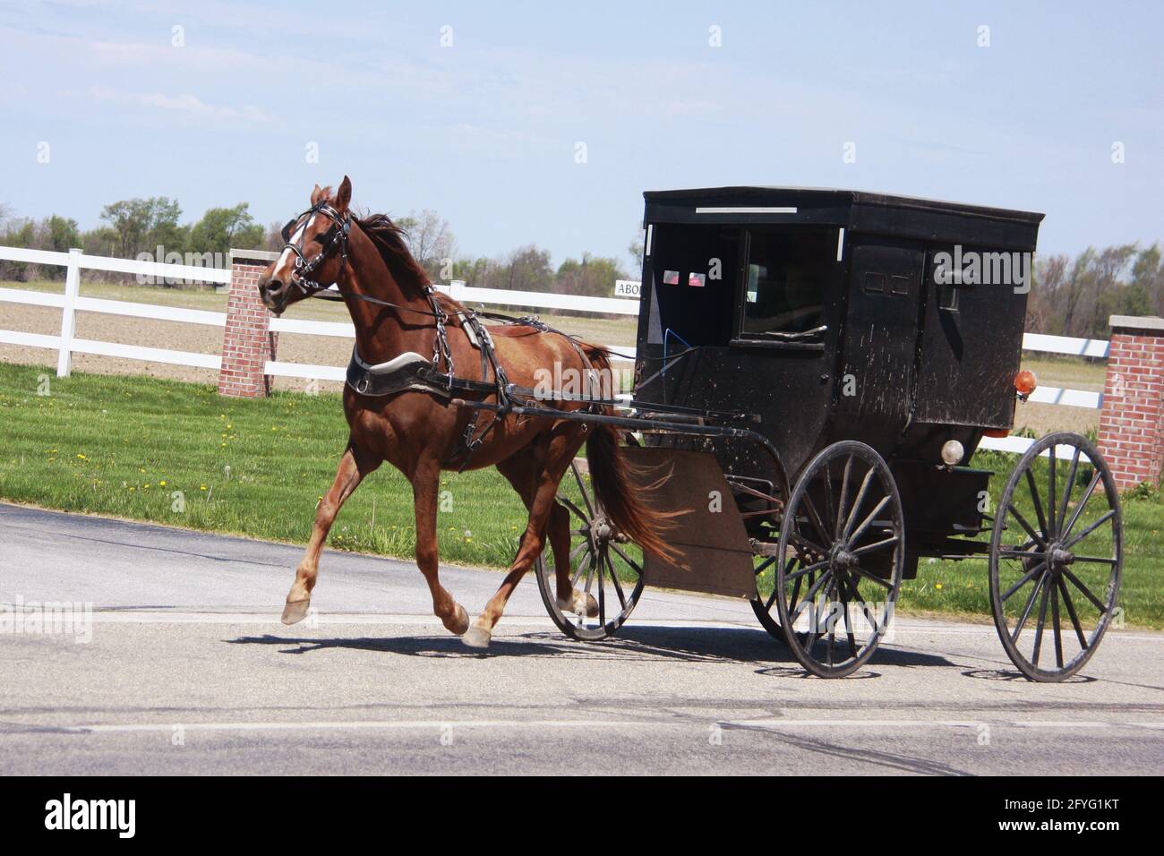Persone Amish in sella a un buggy su una strada in Indiana, Stati Uniti Foto Stock
