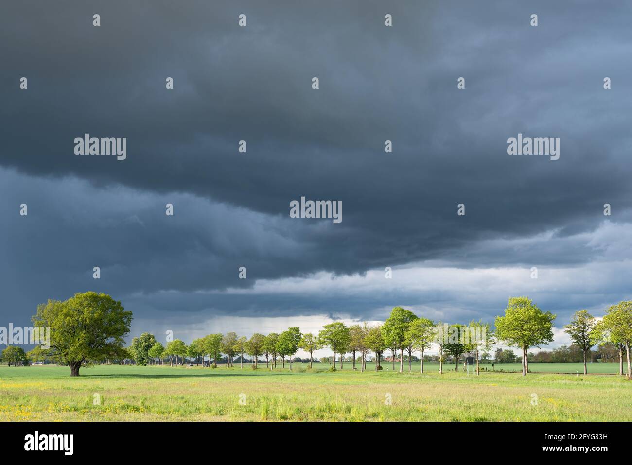 Tempesta nuvole sulla riva coperta di canneti del lago Foto Stock