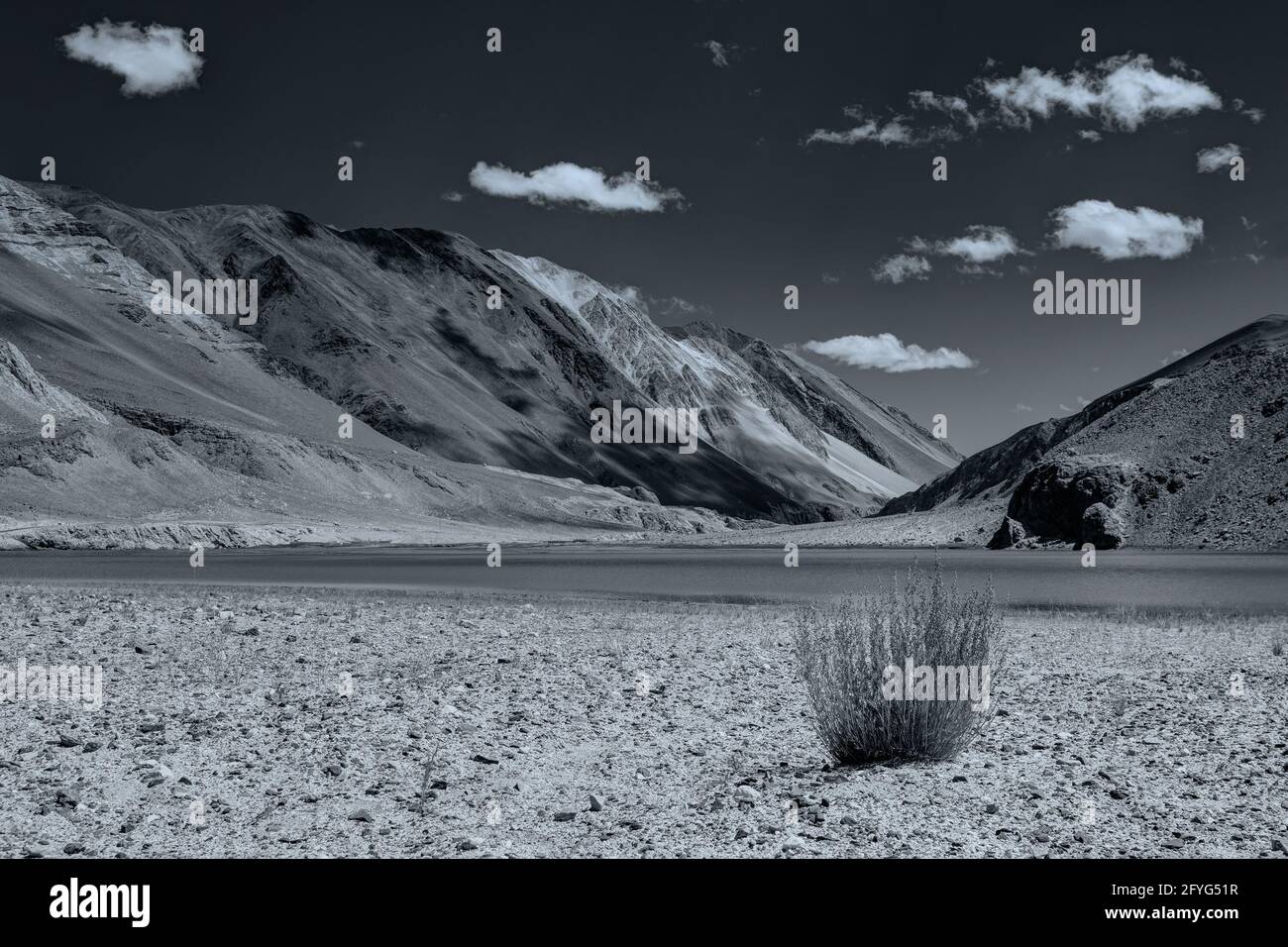 Montagne che circondano Chagor tso - Lago con cielo blu e piccola vegetazione sulla riva asciutta di Chagor Tso. E 'enorme lago in Leh, Ladakh, territorio indiano Foto Stock