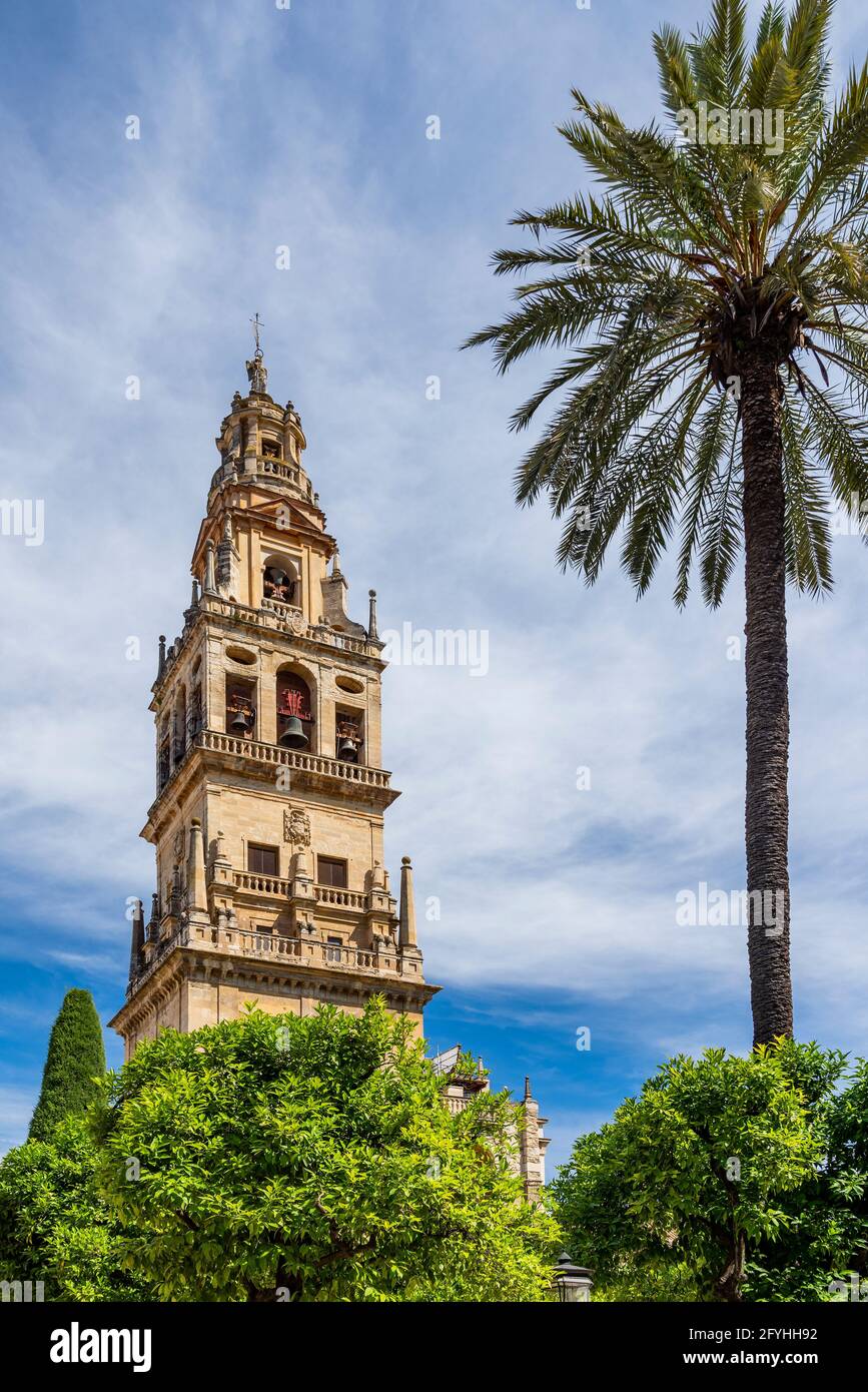 Campanile, Cattedrale , Cordova, Andalusia, Spagna Foto Stock