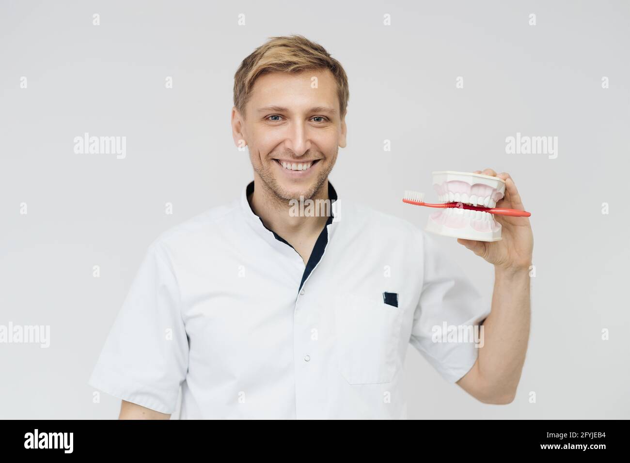 Dentista che mostra la corretta igiene dentale utilizzando mock-up di scheletro di denti. Medico stomatologo che spiega la corretta igiene dentale per il paziente che tiene un campione di mandibola umana con spazzolino da denti. Foto Stock