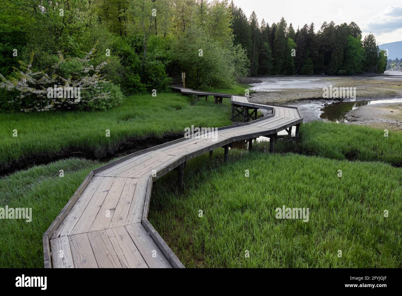 Shoreline Trail, Port Moody, Greater Vancouver, British Columbia, Canada Foto Stock