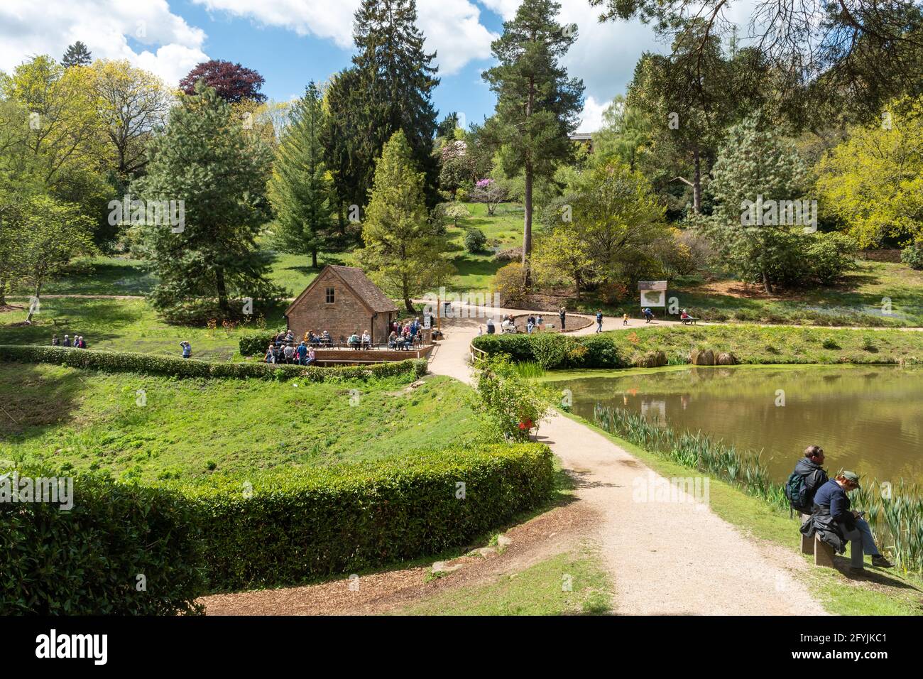 Leonardslee Gardens a West Sussex, Inghilterra, Regno Unito, durante maggio o primavera, con visitatori al Engine House Cafe e lago Foto Stock