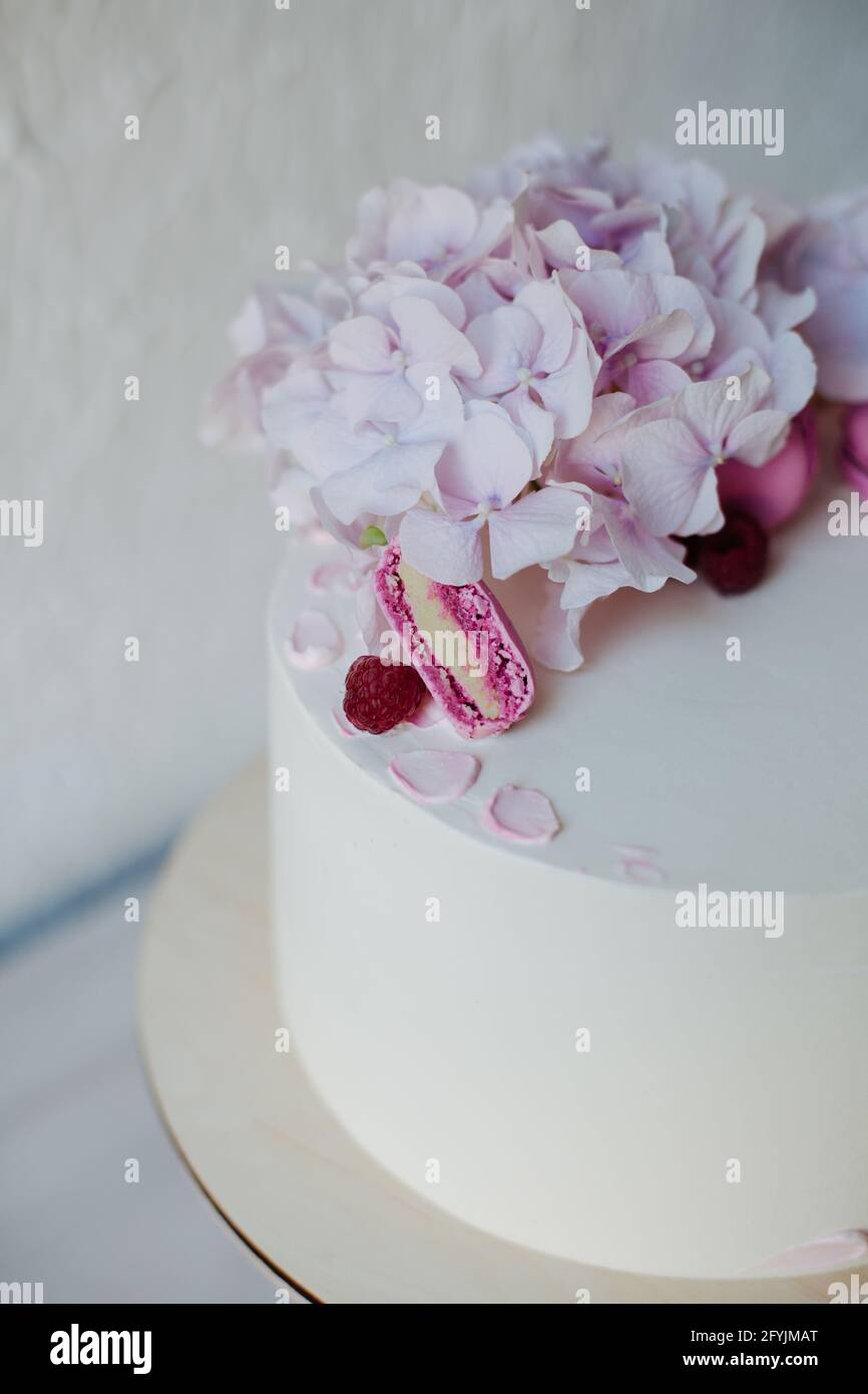Primo piano di un pan di Spagna di crema di farfalle decorato con amaretti rosa e fiori di idrangea Foto Stock