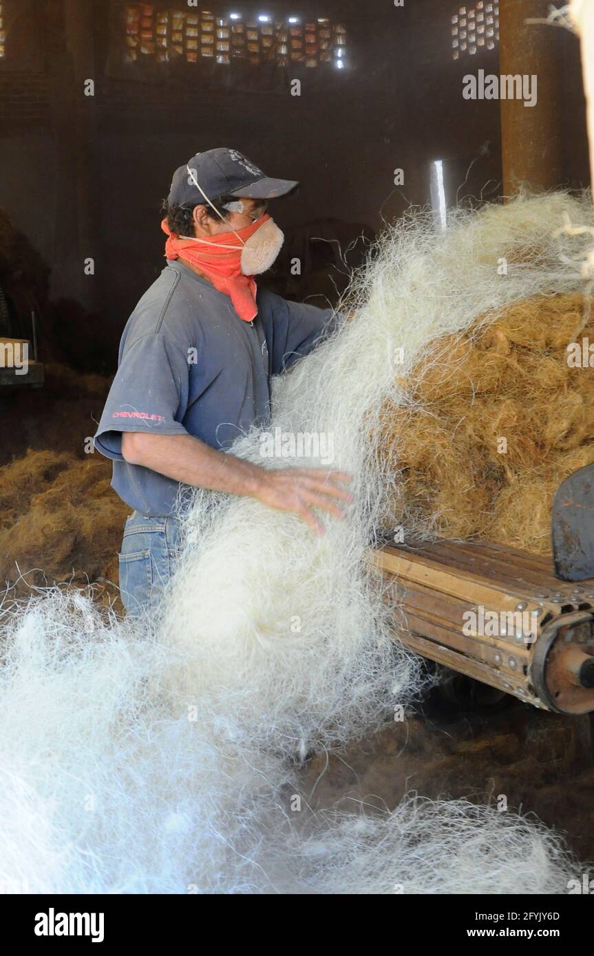 Queretaro, Messico. 28 maggio 2021. QUERETARO, MESSICO - MAGGIO 28: Un lavoratore produce un materasso prodotto da Coco Fibre, vengono utilizzati 6000 noci di cocco per ottenere la materia prima per la produzione di 800 letti, è la prima fabbrica dedicata alla produzione di materassi imbottiti di fibra di cocco. Il 28 maggio 2021 a Queretaro, Messico. (Foto di Eyepix/Sipa USA) Credit: Sipa USA/Alamy Live News Foto Stock