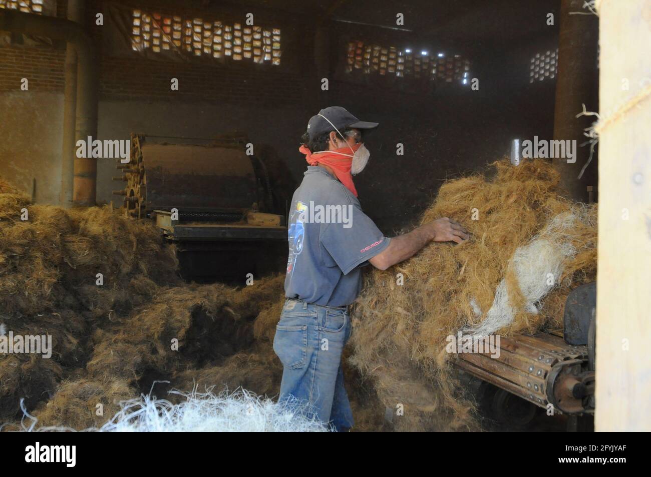 Queretaro, Messico. 28 maggio 2021. QUERETARO, MESSICO - MAGGIO 28: Un lavoratore produce un materasso prodotto da Coco Fibre, vengono utilizzati 6000 noci di cocco per ottenere la materia prima per la produzione di 800 letti, è la prima fabbrica dedicata alla produzione di materassi imbottiti di fibra di cocco. Il 28 maggio 2021 a Queretaro, Messico. (Foto di Eyepix/Sipa USA) Credit: Sipa USA/Alamy Live News Foto Stock