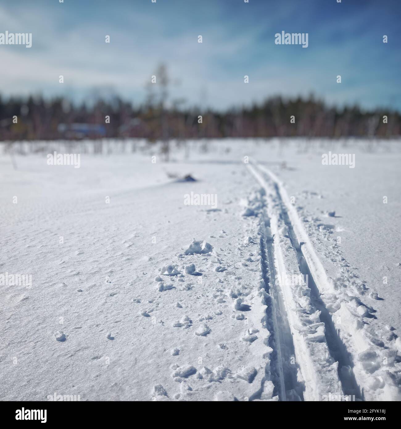 Piste da sci nella neve fresca caduta in Lapponia svedese. Foto Stock