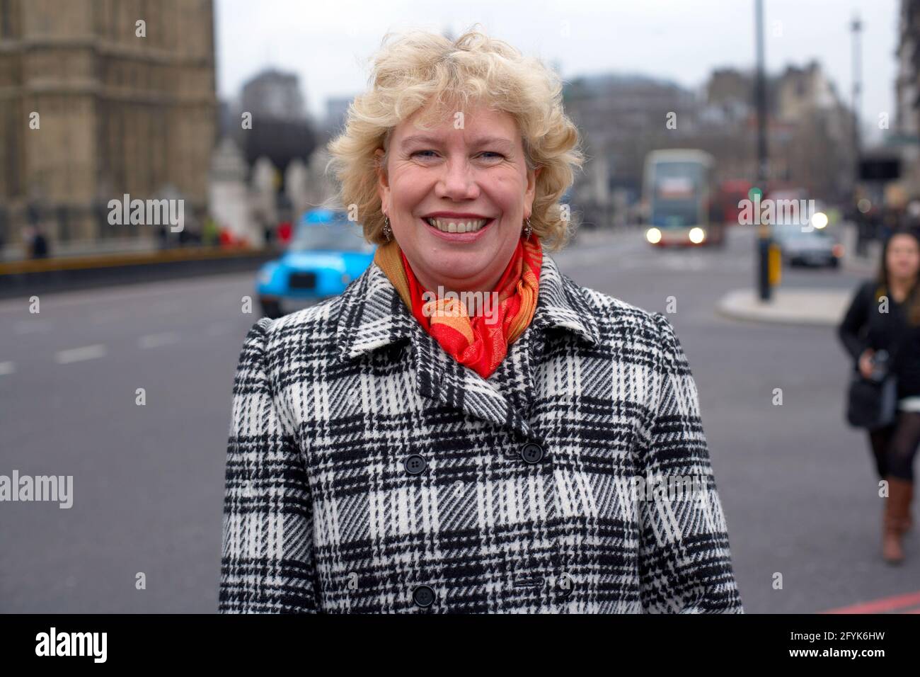 Meg Munn ex membro del Parlamento del Regno Unito. Foto Stock