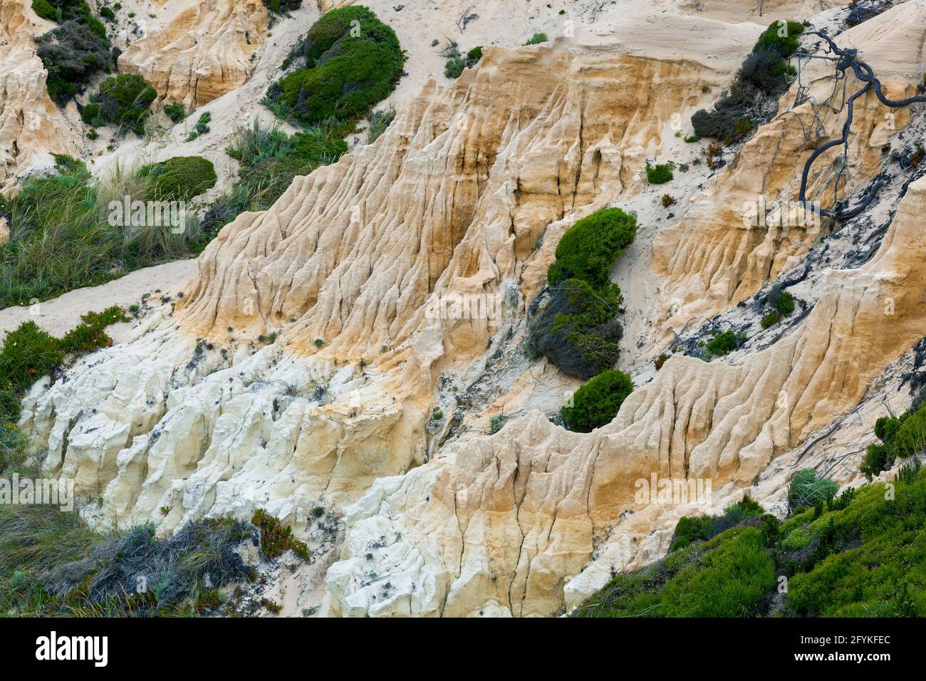 Badlans nella spiaggia di Gale, Grandola, Portogallo Foto Stock