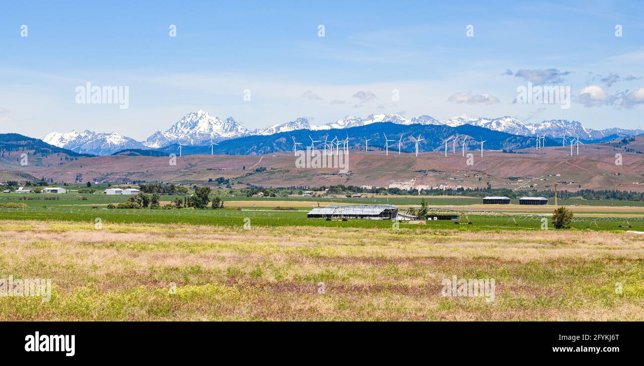 La Kittitas Valley a tarda primavera, mentre le Cascade Mountains si innalzano sopra la fattoria del vento ai piedi delle colline. La terra di agricoltura comincia esso ciclo annuale Foto Stock