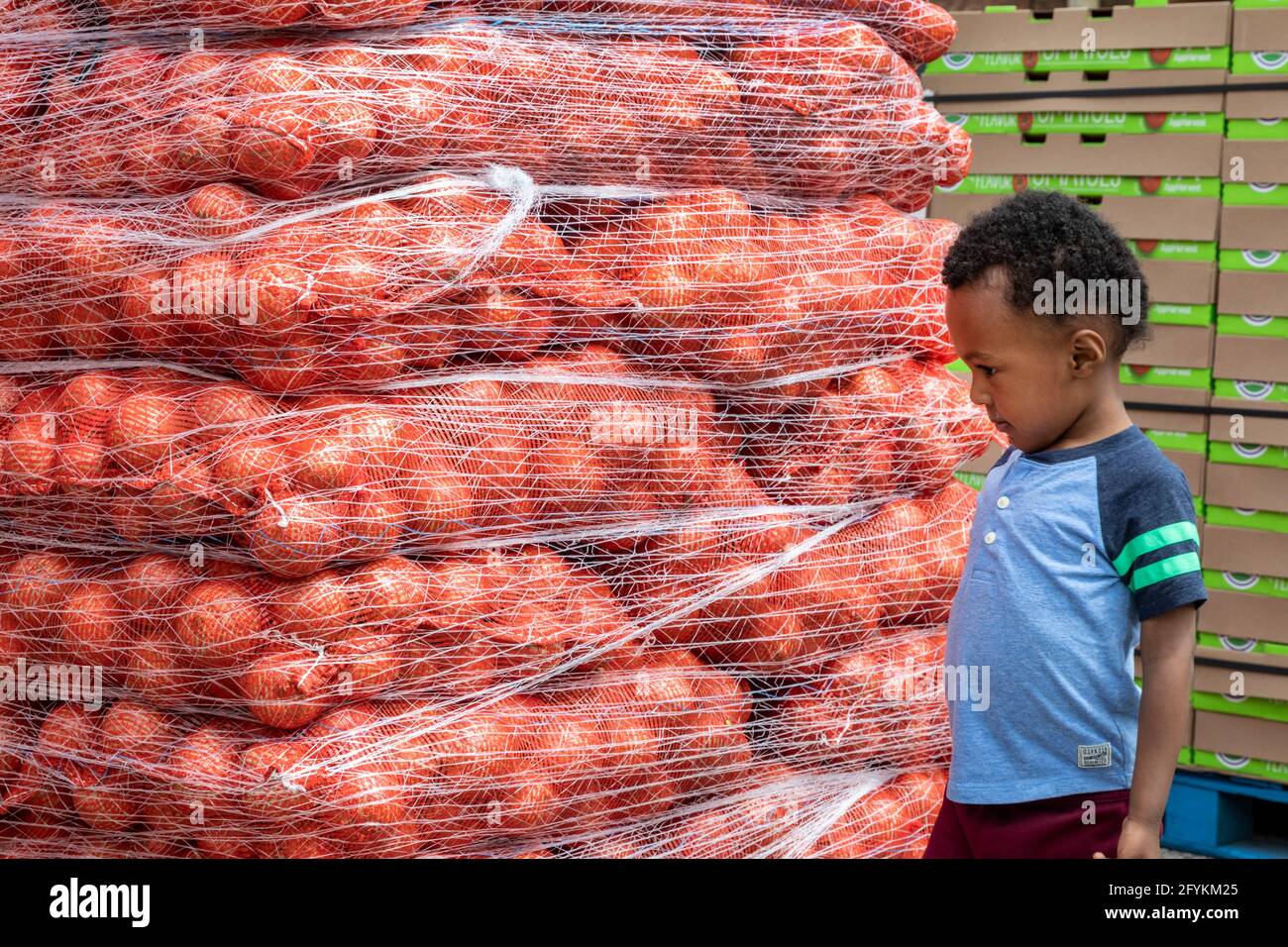 Detroit, Michigan - UN bambino ispeziona pile di cipolle mentre i volontari nel quartiere Morningside distribuiscono cibo gratuito in una parte a basso reddito della c Foto Stock